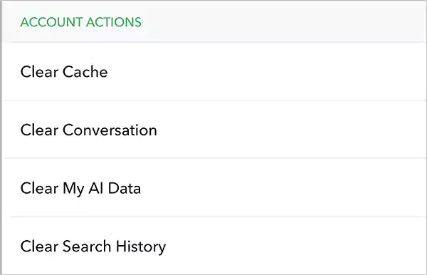 Clear cache option in Snapchat settings